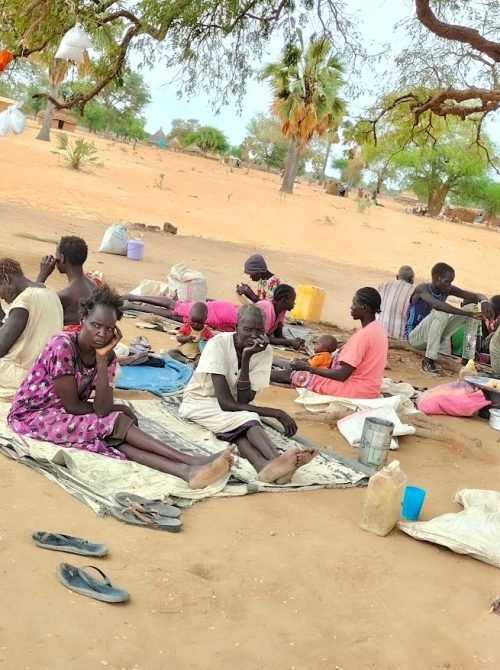 WhatsApp Image 2026-02-03 at 10.05.18 (15)