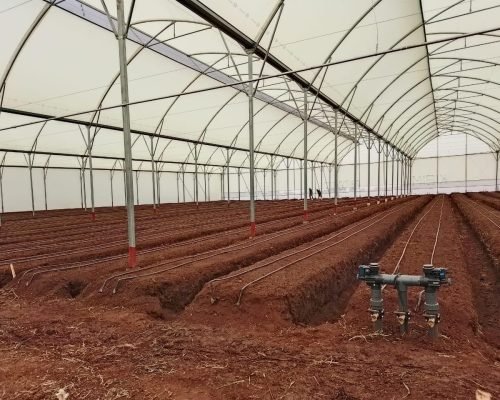 WhatsApp Image 2026-02-03 at 10.05.19 (1)